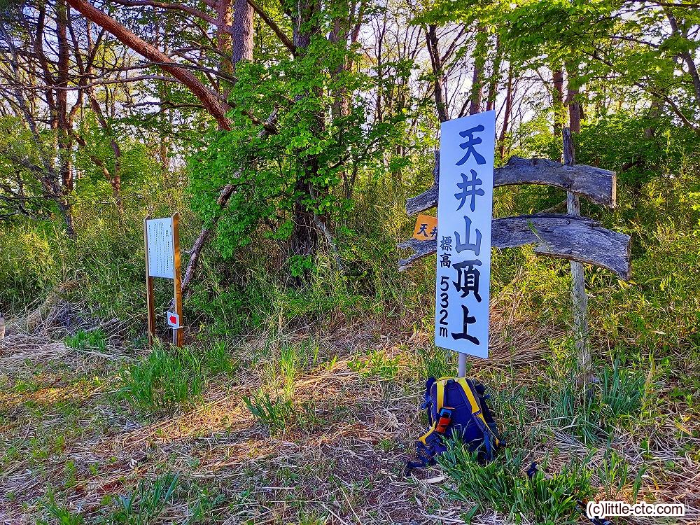 天井山 (JA/FS-243) 福島県福島市／伊達市 | ジオサミットでひとこえ